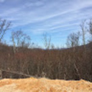 Meet your Posher, Josh